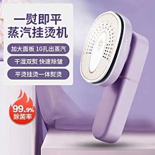 現貨 德國手持掛燙機小型便攜式熨斗家用迷你蒸汽旅行熨燙機衣服機宿舍可開發票 歷史價格詳細信息