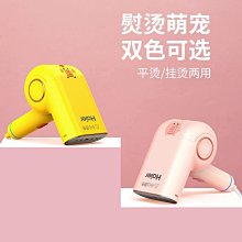 現貨 家用手持蒸汽熨燙機宿舍便攜式熨斗干濕兩用除皺電熨斗小型燙衣機可開發票 歷史價格詳細信息