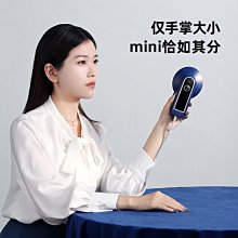 掛燙機 手持便攜式掛燙機家用小型電熨鬥旅行熨燙機燙鬥迷妳掛燙機  露天市集  全台最大的網路購物市集 歷史價格詳細信息