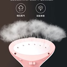 榮事達手持掛燙機家用小型電熨斗迷你便攜式燙衣服折疊旅行熨燙~特價 歷史價格詳細信息