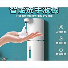 全自動洗衣機 智能12L洗襪機 洗脫一體 歷史價格詳細信息