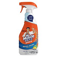 (超取1單限8罐) 已改新罐 威猛先生 廚房穩潔噴槍 陽光檸檬 500g 價格比較,價格查詢,歷史價格詳細信息