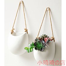 吊蘭吊籃花盆垂吊盆懸掛式掛鉤養種綠蘿的室內自吸水塑料花盆 歷史價格詳細信息