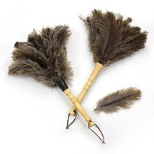 下殺-除塵撣子掃灰家用靜電不掉毛吸灰神器車用雞毛撣一次性*特價 歷史價格詳細信息