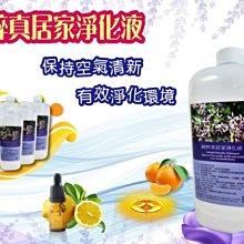 真愛義大利（最新版）27個大城小鎮實用導覽書 歷史價格詳細信息