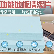 地板清潔片【小麥購物】24H出貨台灣現貨【D038】清潔劑 洗滌劑 廚房 水垢 汙垢 清潔 地板 浴室 拖地 擦地 洗地 歷史價格詳細信息