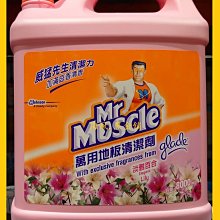 Mr Muscle威猛先生通樂 馬桶、排水管疏通劑（圓瓶） 歷史價格詳細信息