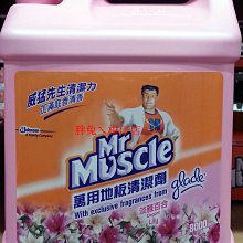 Mr Muscle威猛先生通樂 馬桶、排水管疏通劑（圓瓶） 歷史價格詳細信息