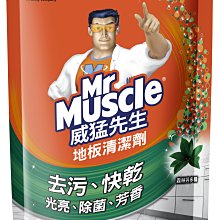 (超取1單限8罐) 已改新罐 威猛先生 廚房穩潔噴槍 陽光檸檬 500g 歷史價格詳細信息