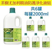 夢娜麗莎 茶樹精油護手乳(100ml)【美麗購】 歷史價格詳細信息