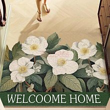 入戶門地墊進門門墊大門口腳墊家用地毯絲圈可裁剪可擦洗 歷史價格詳細信息