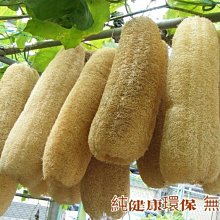 【古早清潔秘方】坪林區農會 文山包種茶籽粉600g 環保健康 媽媽廚房的好幫手 純天然茶籽製成 無毒無汙染 洗澡洗頭髮 歷史價格詳細信息