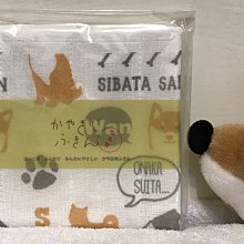 [出清優惠!!] 日本獅王LION PRO TEC頭皮養護控油洗髮精 300g x3 │台灣獅王官方旗艦店 歷史價格詳細信息