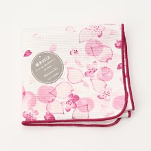 Ariel 抗菌防臭洗衣精補充包 720公克 X 2袋 歷史價格詳細信息