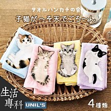 毛巾夾????毛巾架 抹布塞 毛巾置物夾 毛巾 抹布夾 抹布塞 毛巾置物架 毛巾收納塞 SK209 手巾塞 毛巾收納 毛巾架 歷史價格詳細信息