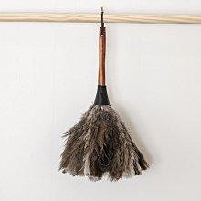 澳洲 Heaven in Earth 迷你麂皮刷 麂皮清潔刷 鞋子清潔刷 包包清潔刷 衣服清潔刷 歷史價格詳細信息