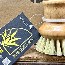 【台灣製 蘆薈無香】寶貝手 家用清潔手套 家用手套 乳膠手套 TNCD66 歷史價格詳細信息