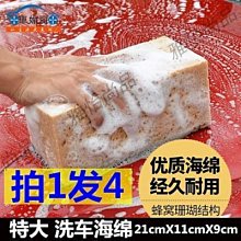 珊瑚礁雅築 印度聖螺.法器.(長約182cm，附口蓋..自然原味，厚重實在，值得珍藏，可送禮或做為擺飾、教 歷史價格詳細信息