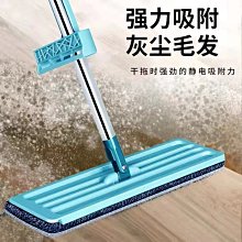 拖把家用一拖凈室內平拖干濕兩用拖布墩布平板拖懶人專用拖省多多-爆款 歷史價格詳細信息