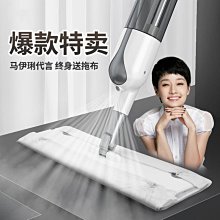 家用噴水平板拖把神器一拖凈懶人免手洗干濕兩用木地板瓷磚多功能*特價正品促銷 歷史價格詳細信息