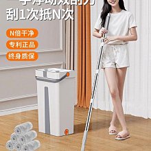 平板拖把2024新款免手洗家用一拖凈吸水大拖布懶人拖地兩用墩神器~百寶閣【下標宅配貨郵局】 歷史價格詳細信息