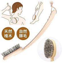 沐浴刷洗澡刷後背搓澡巾刷子長柄刷沐浴用品搓背搓澡搓泥洗澡 歷史價格詳細信息