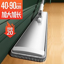 2021拖把家用網紅拖把免手洗加厚居家拖地神器刮刮樂拖把桶平板免*特價正品促銷 歷史價格詳細信息