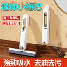 桌面迷你拖把-2入組 歷史價格詳細信息