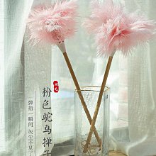 鴕鳥雞毛撣子家用除塵掃灰神器防靜電車用不掉毛加厚灰塵加長沙發 歷史價格詳細信息