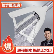 懶人大號海綿拖把頭擠水免手洗凈拖地神器膠棉家用吸水 歷史價格詳細信息