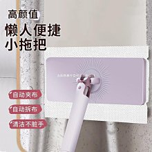 免手洗 自濾平板拖把【1桿2布】(乾濕兩用/快速脫水) 懶人拖把 刮刮樂拖把 除塵拖把 歷史價格詳細信息
