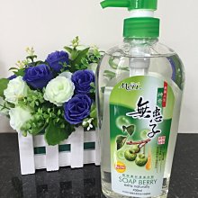 無患子  次柳氏異聞 三冊 歷史價格詳細信息