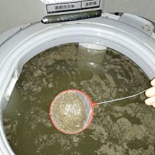 買9送1MIT《超硬高密度瓦楞紙》台灣製造 重磅超大貓抓板也有小的 厚實耐抓 磨爪 高CP值 一面抓完換面抓 歷史價格詳細信息