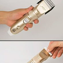 工368。山鬼雷公背八卦方孔花錢9113 歷史價格詳細信息