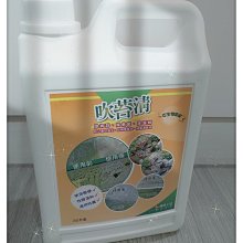 青苔綠漪窯變 茶杯      景德鎮  純手工精致 茶具薄胎 品茗杯       茶杯     40ml 歷史價格詳細信息
