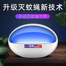 【滅蠅】雙效果蠅誘捕器 10入組 操作簡單 科學配方 快速引誘 歷史價格詳細信息