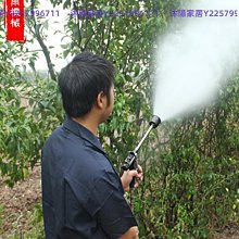 【促銷】林妙妙書包女少年派二次元韓版小學生兒童百搭雙肩包揹包 歷史價格詳細信息