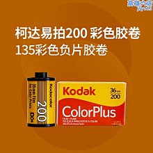 實拍 捲心玫瑰仿真森林系髮圈彩色綠粉  新娘仿真薰衣草花環頭飾海邊度蜜月旅遊假日女帽子裝飾品PUNK 文藝COSPLAY 歷史價格詳細信息