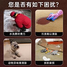免水洗家用布藝地毯沙發床墊牆布去污漬地墊乾洗清潔劑 BIKI SHOE POLISH / BUICK標奇【 PUNX 】 歷史價格詳細信息