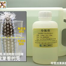 【居家百科】葡萄柚籽萃取液 - 500ml 1L 美國 葡萄柚籽 萃取液 手工皂 DIY G.S.E 歷史價格詳細信息