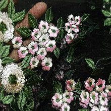 零碼布裝可愛！超可愛小布包×雜貨飾品×布小物（暢銷版） 歷史價格詳細信息