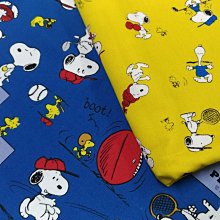 豬豬日本拼布 限量版權卡通布 寶可夢 神奇寶貝 皮卡丘 角色 厚棉布料材質 歷史價格詳細信息