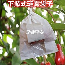 撲滿~2011中華郵政存錢筒 一對 歷史價格詳細信息