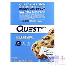 *二姊養生坊*~Quest Nutrition, 蛋白質餅乾巧克力片~折扣優惠中#QST00600 歷史價格詳細信息