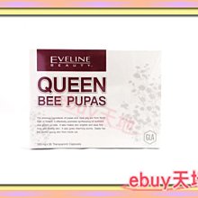 ☆BUY BUY小舖☆~Hello Kitty與丹尼爾絨毛玩偶 歷史價格詳細信息