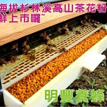 【Ａ級福利品】Google Pixel 7 Pro (12G+256G) 歷史價格詳細信息