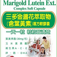最優惠 連體工作裝4S店噴漆戶外工程 男工裝勞保廠 汽修機修防塵連體 女吊帶勞保  露天市集  全台最大的網路購物市集 歷史價格詳細信息