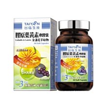 免運～【共 2 枚】台北市公共汽車「中型公共汽車乘車專用幣」 (直徑 2cm、厚度 0.2cm、重 5克) ～絕版～ 歷史價格詳細信息