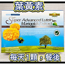 蝦紅素6毫克+微藻DHA/EPA植物膠囊(60粒)「買5送3組」【正公司貨 冰島Algalif原廠授權】全素/免運 歷史價格詳細信息