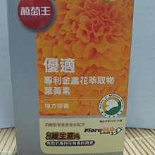 90%????正品????LONGCHAMP Le Pliage Neo厚 尼龍 短把 托特包 ｜水餃包 肩背 斜背 兩用包(莓 歷史價格詳細信息